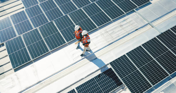 Best Roof Moss and Algae Removal  in Creston, IA