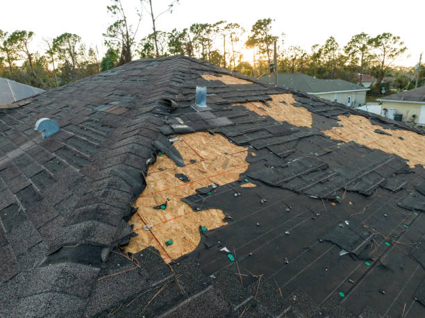 Best Skylights  in Creston, IA
